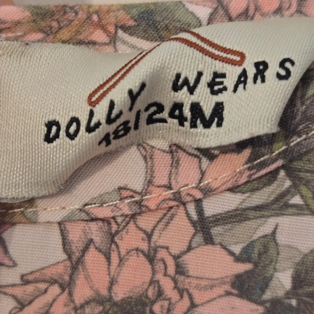 Dolly Wears Toddler Girls Floral Ruffle Dress Pink Rose Long Sleeve 18-24 Months